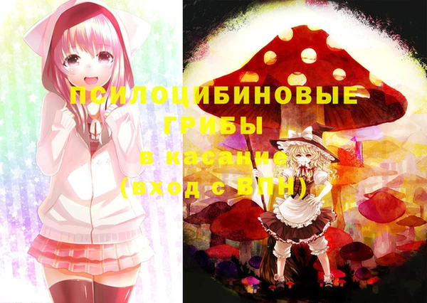 прущая мука Верея