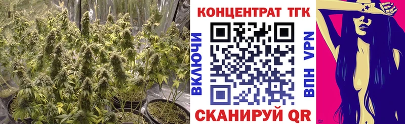 Дистиллят ТГК концентрат  Кирсанов 