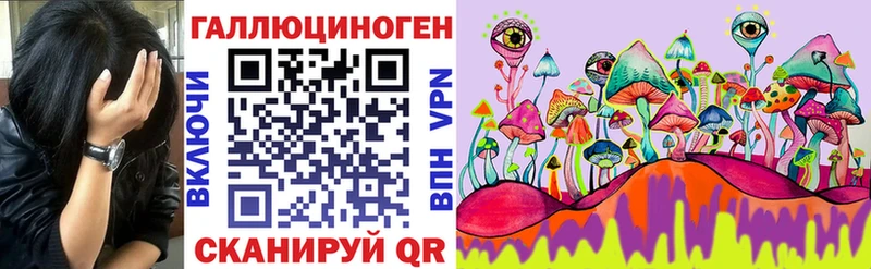 блэк спрут ССЫЛКА  Кирсанов  shop клад  Галлюциногенные грибы Cubensis 