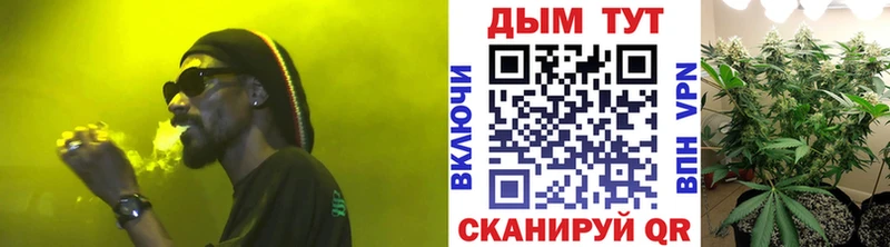 blacksprut рабочий сайт  Кирсанов  Конопля THC 21%  сколько стоит 